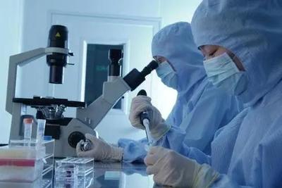 李逵還是李鬼？相似專業名稱辨析 生物技術與生物技術開發，2021年考生必讀